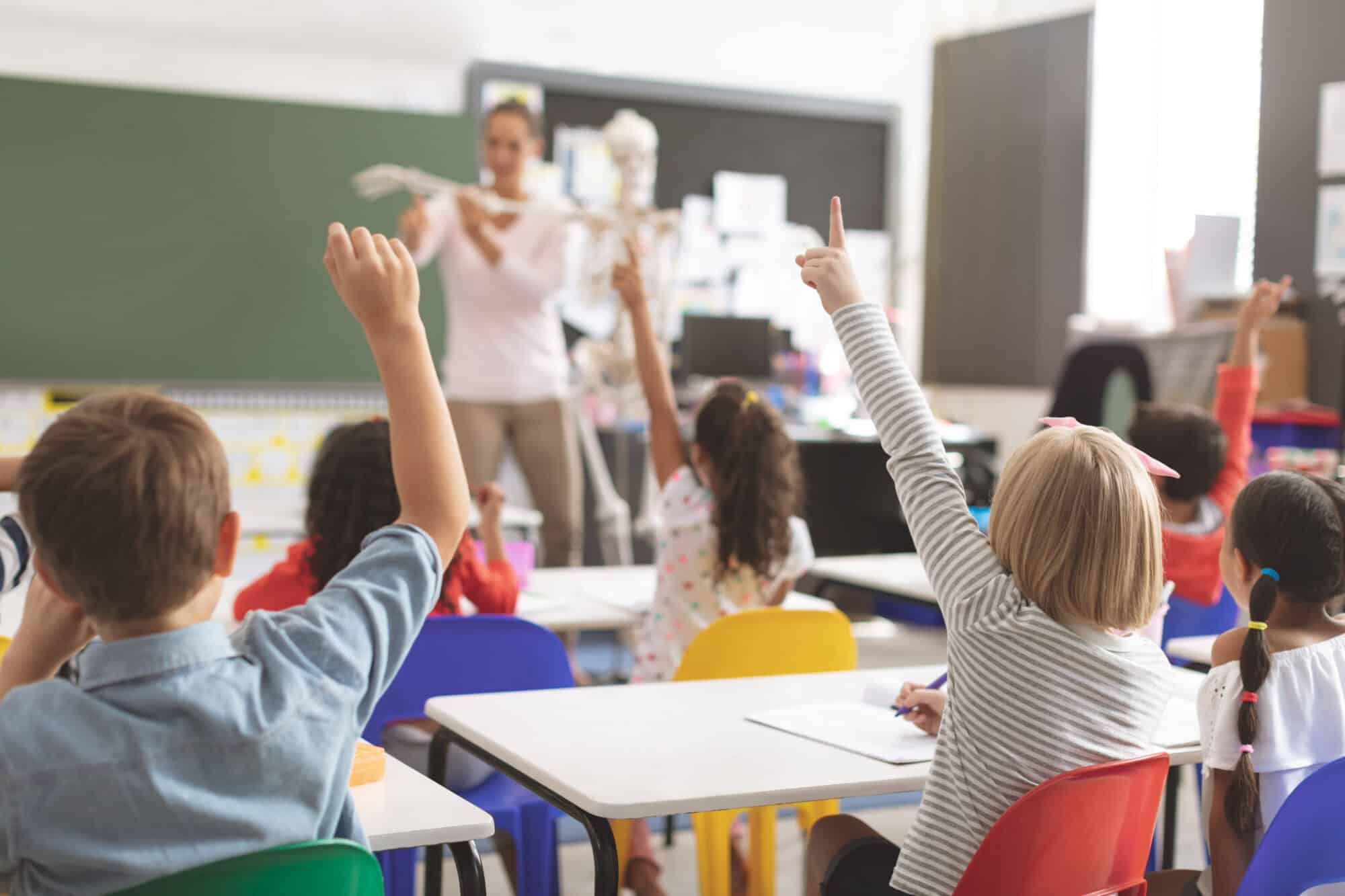 Rear,View,Of,Kids,Raising,Hands,While,Teacher,Explaining,The