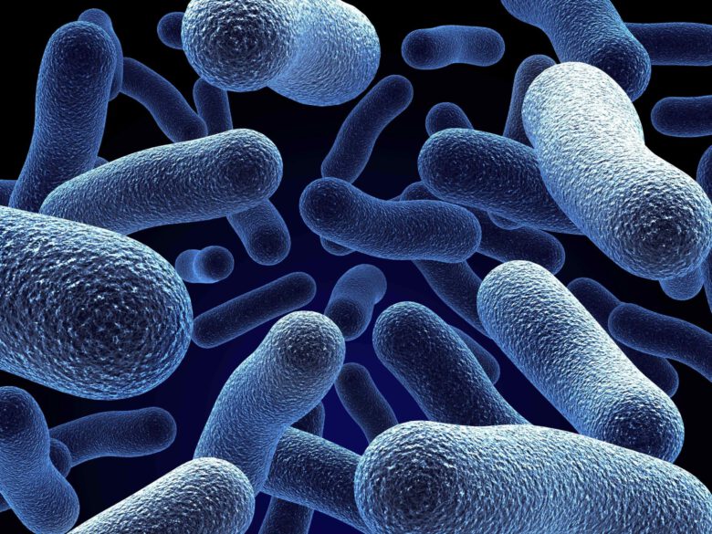 shutterstock_2173890_Bacteria